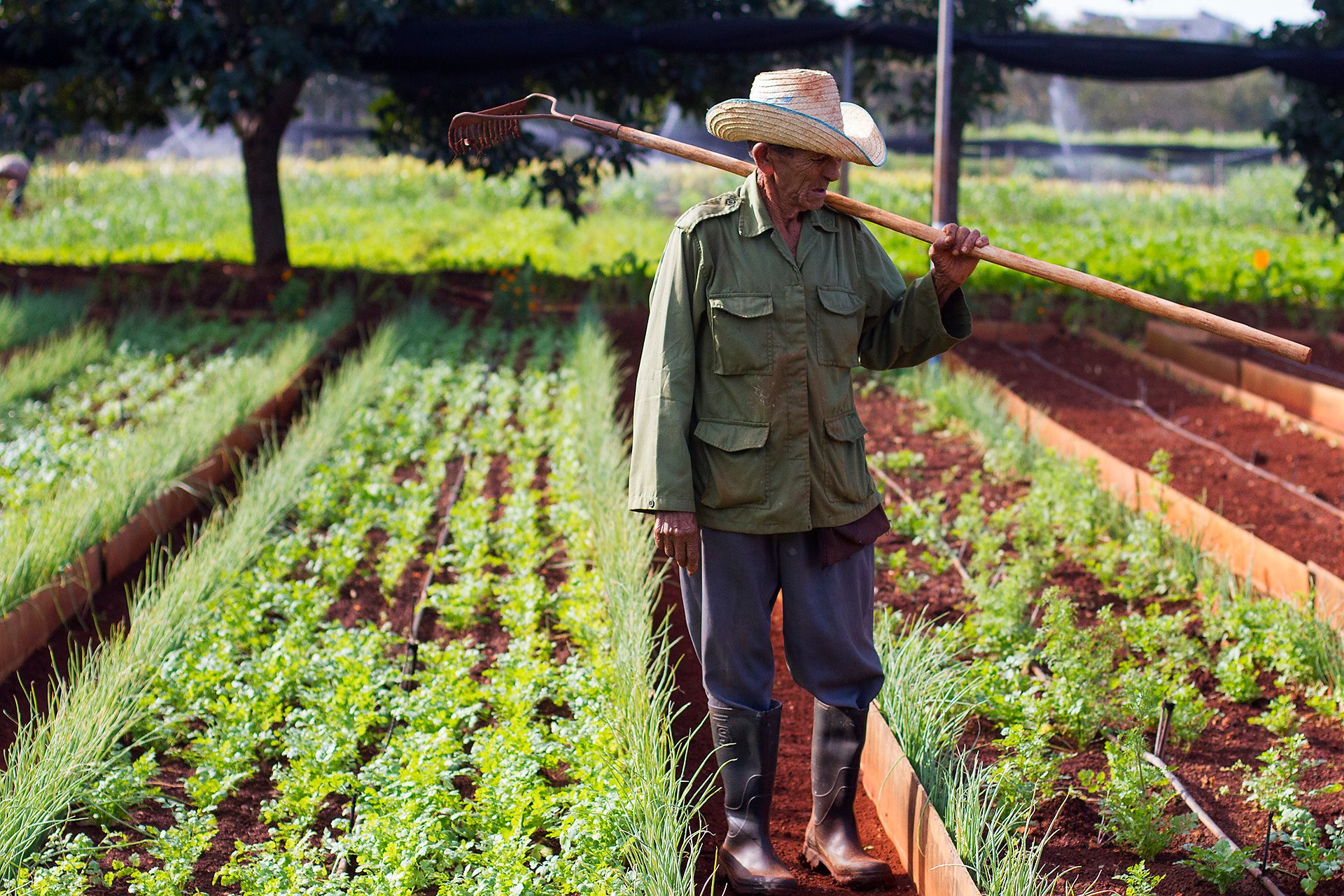 Building Farmworkers Capacity Is The New Paradigm For Nourishing The 